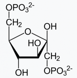Fructose-1,6-diphosphate